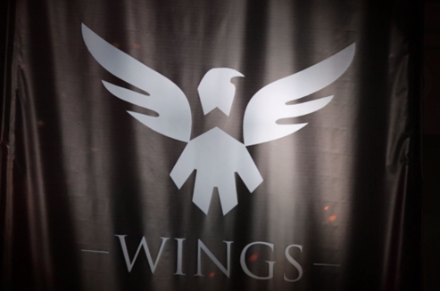 2016国际邀请赛中国区预选赛wings晋级之路